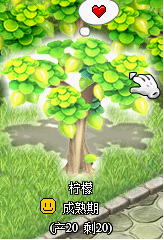 ���ı�ˬ ׯ԰���ո�����