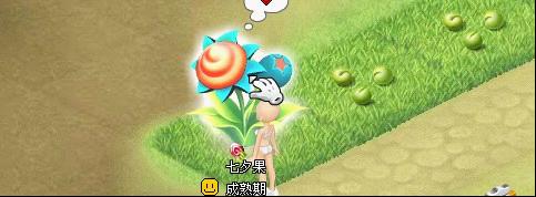 ������Ϧ �������ۿ�����