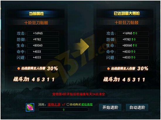 永恒领主宠物系统