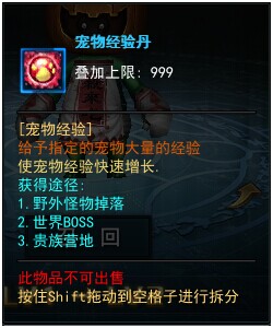 永恒领主宠物系统