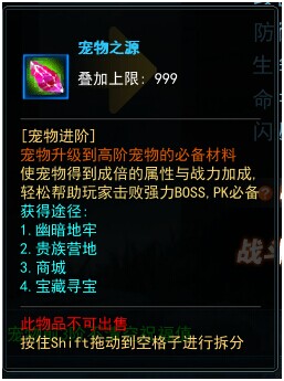 永恒领主宠物系统