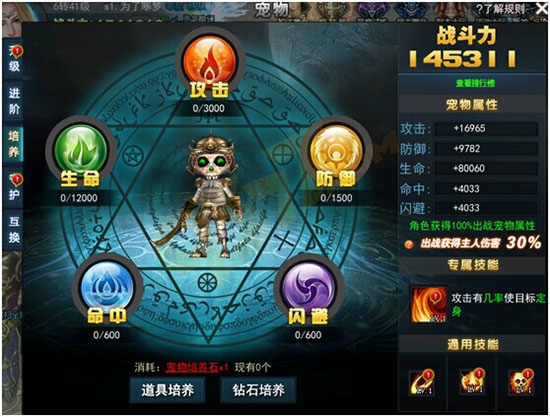 永恒领主宠物系统